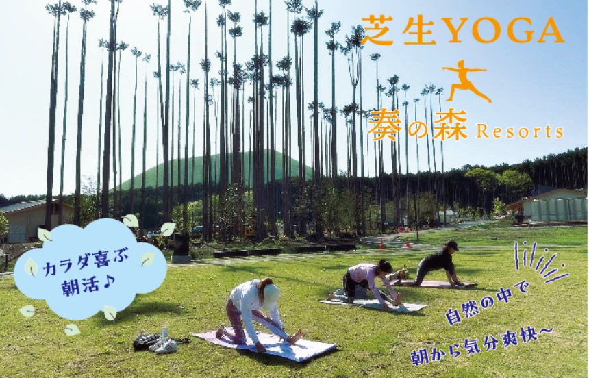 奏の森の芝生YOGA