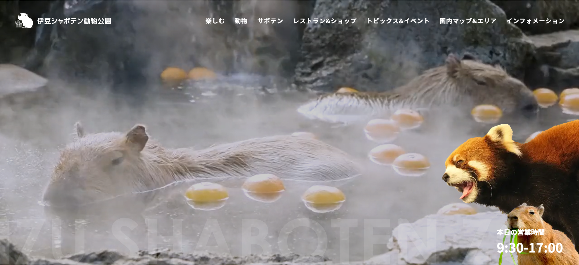 伊豆シャボテン動物公園