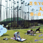 芝生YOGA