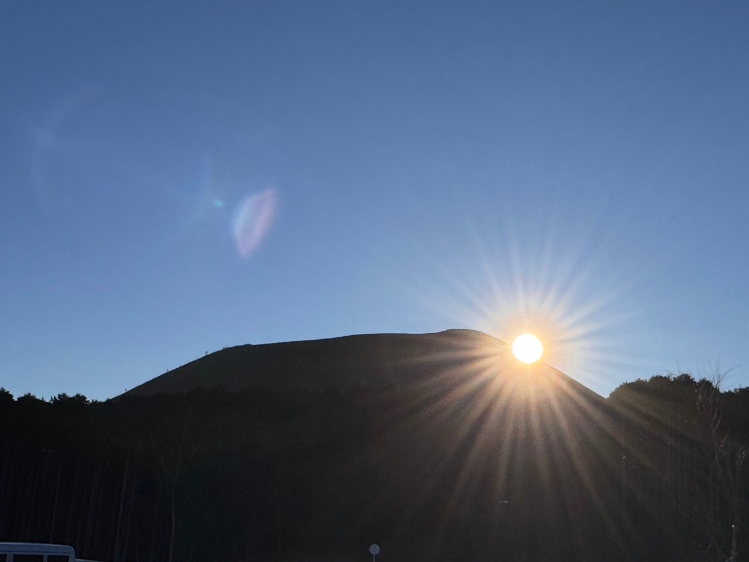 奏の森から見た大室山