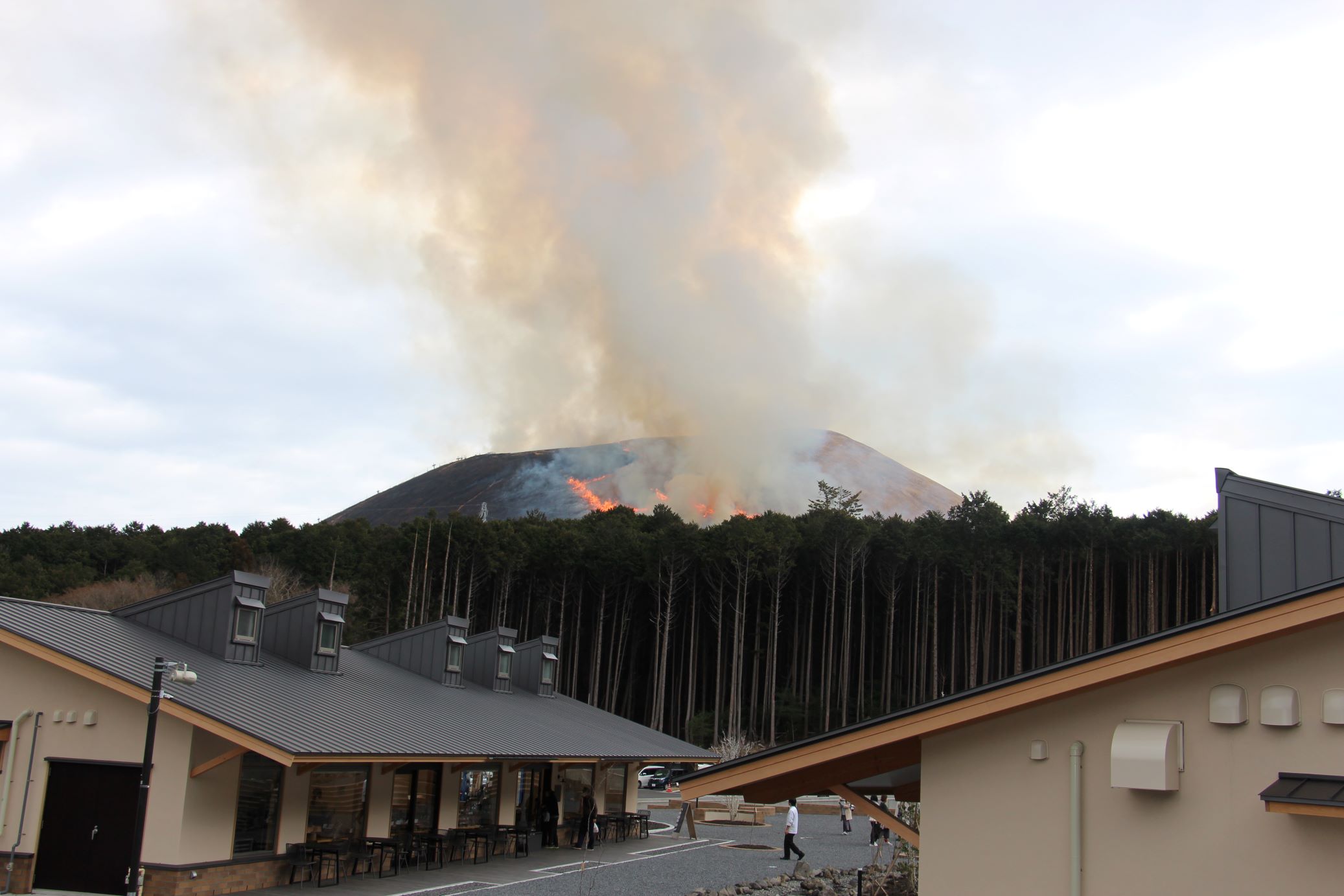 大室山山焼き2024年