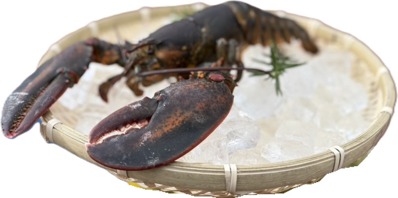 BBQの王様レッドロブスターオマール海老