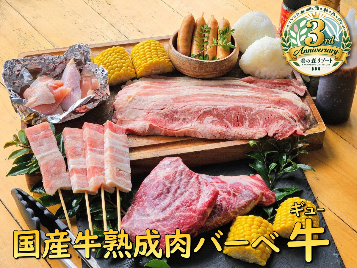 焼肉スタイルの国産牛熟成肉BBQ