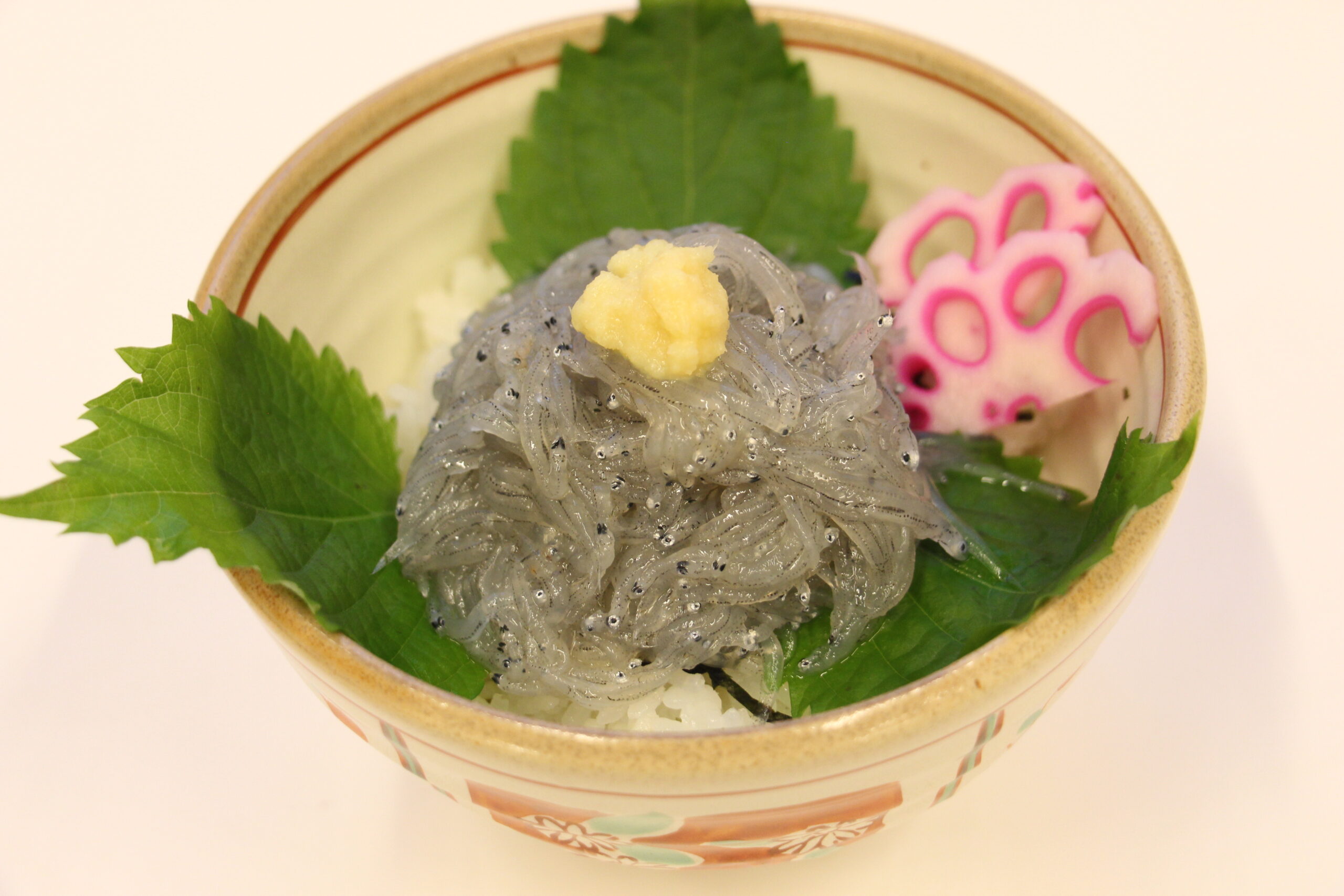 和食 遥 生しらす丼